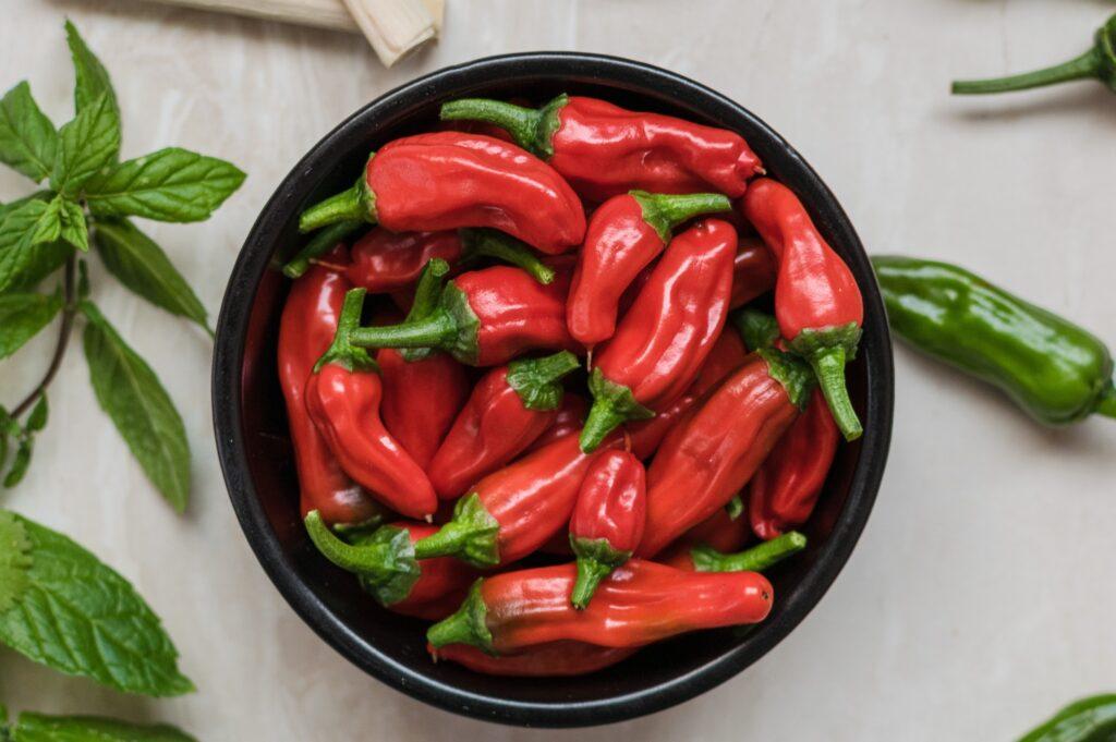 Chilli papričky